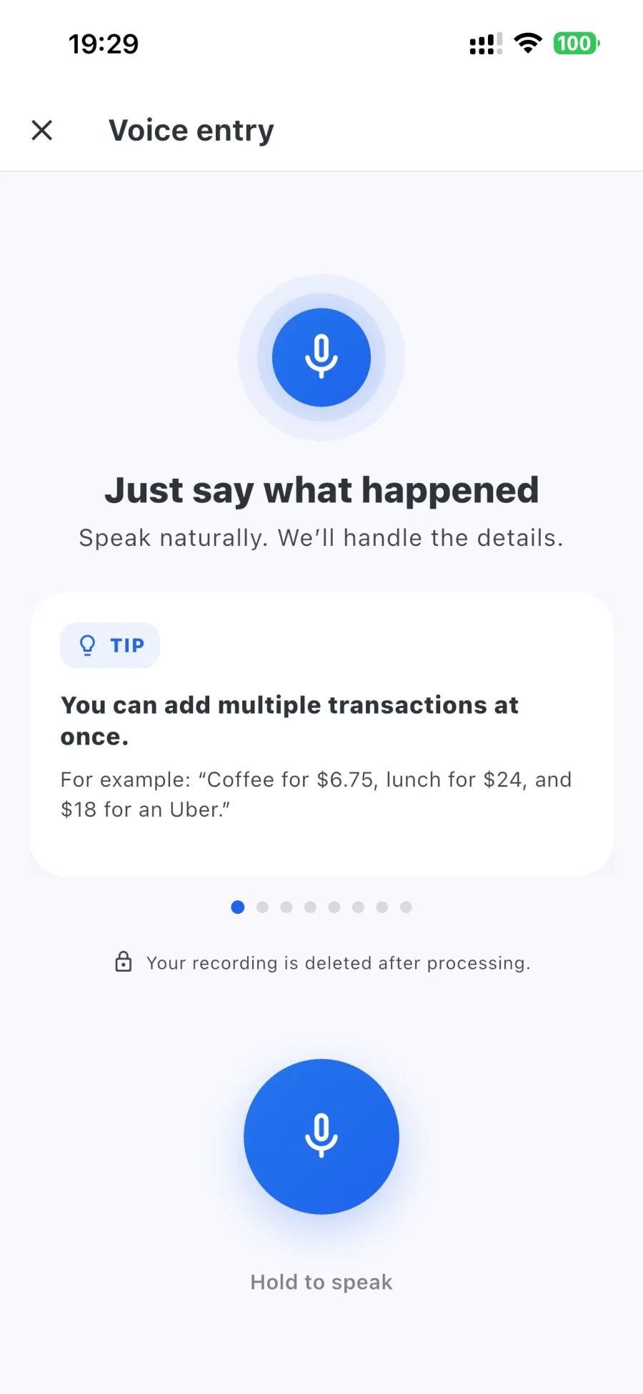 Rizur voice entry explaining that users can speak naturally and add several transactions at once